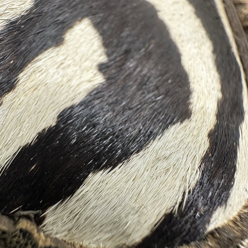 Twisted X Zebra Print driving moccasins ECO TWX‎ Women’s 9M - Picture 10 of 16